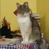 Отзыв от Яна Кулакова